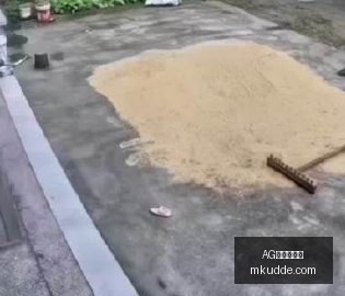 新喀里多尼,亚争议,后卫手球,AG九游会官网,AG九游会,九游会平台,AG真人,九游会娱乐